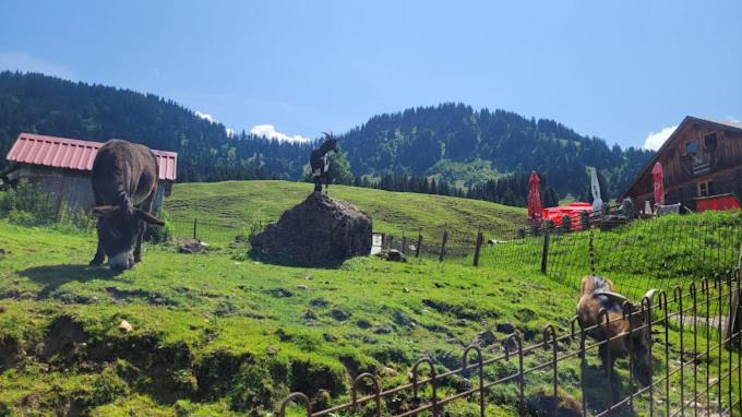 Jausenstation Neuschwand Hittisau Exterior foto