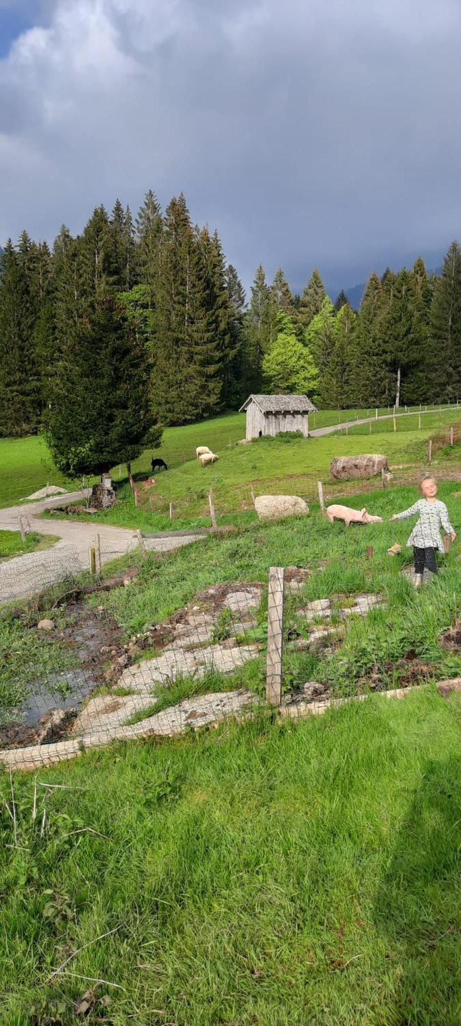 Jausenstation Neuschwand Hittisau Exterior foto