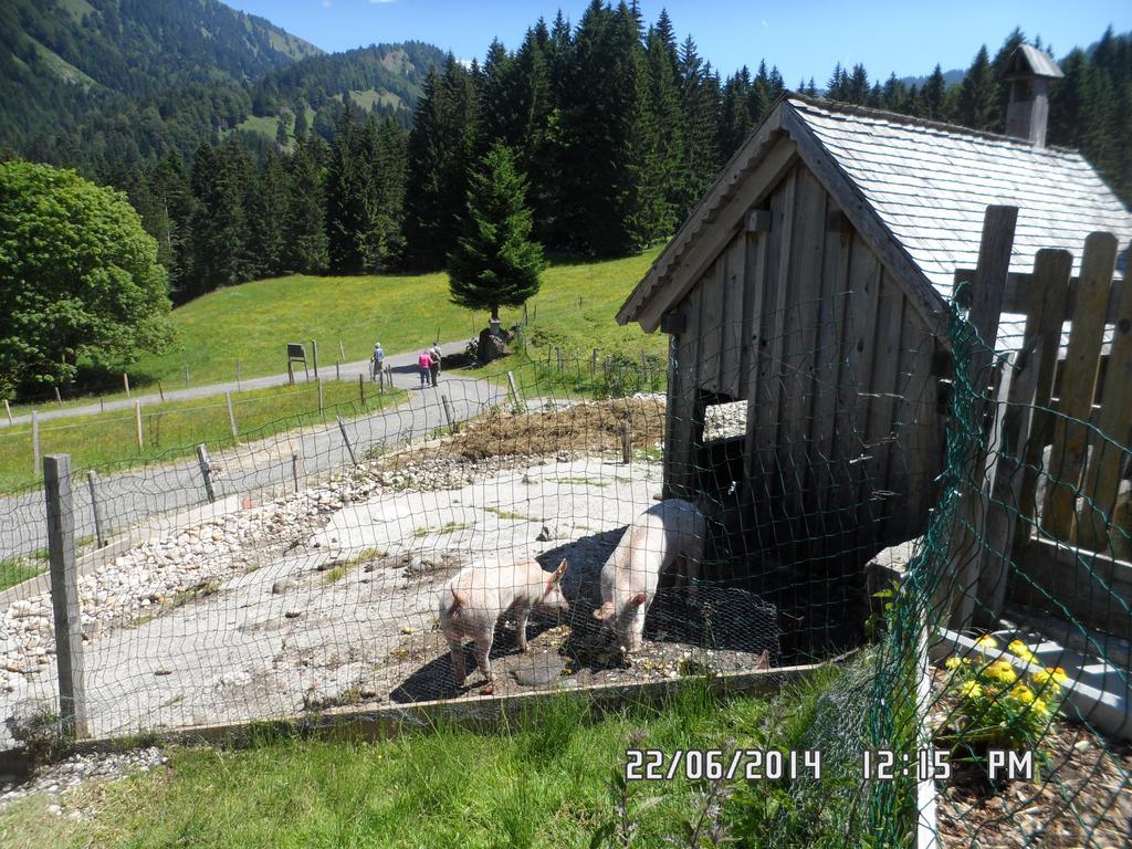 Jausenstation Neuschwand Hittisau Exterior foto