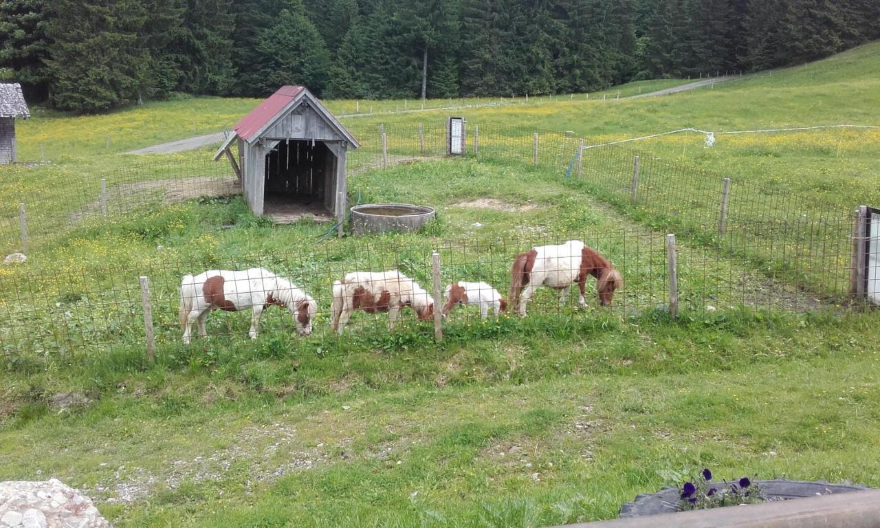 Jausenstation Neuschwand Hittisau Exterior foto